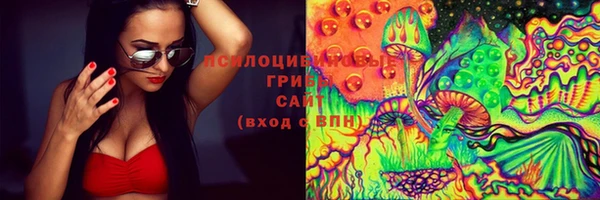 молекула духа Волоколамск